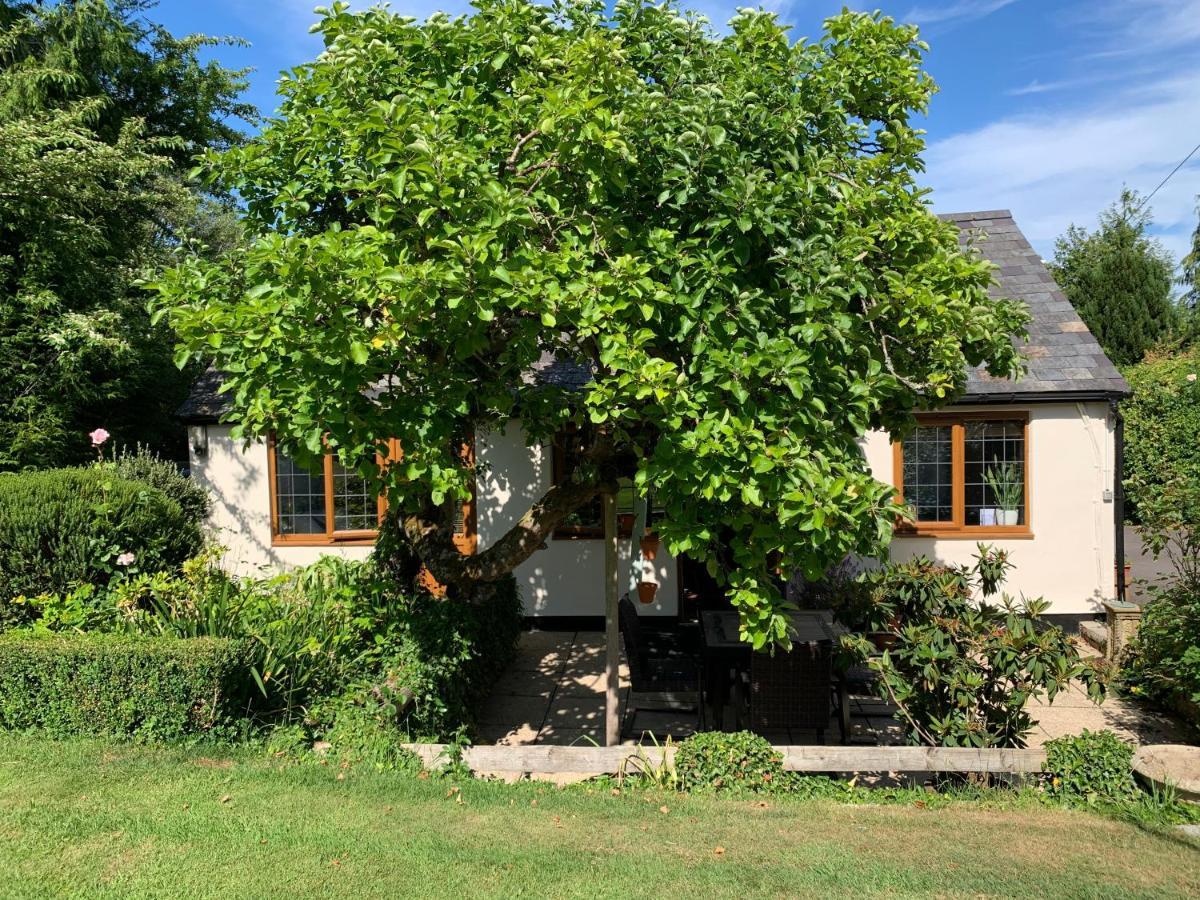 Newton Farmhouse Whiteparish Exteriör bild