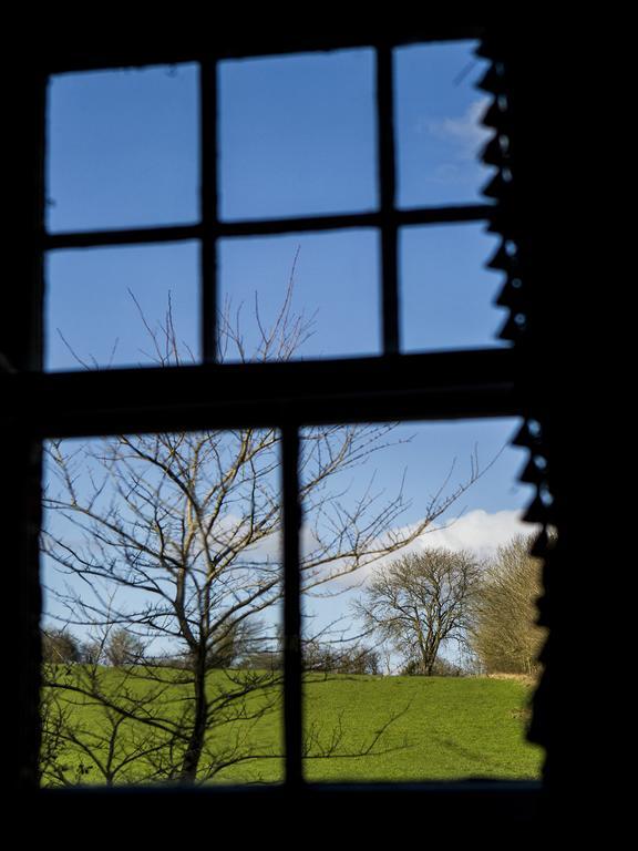 Newton Farmhouse Whiteparish Exteriör bild